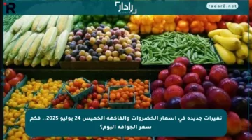 تغيرات جديدة في أسعار الخضروات والفاكهة الخميس 24 يوليو 2025.. فكم سعر الجوافة اليوم؟